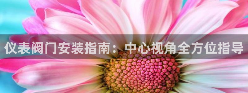 新宝gg