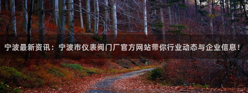 新宝gg娱乐主管q42873